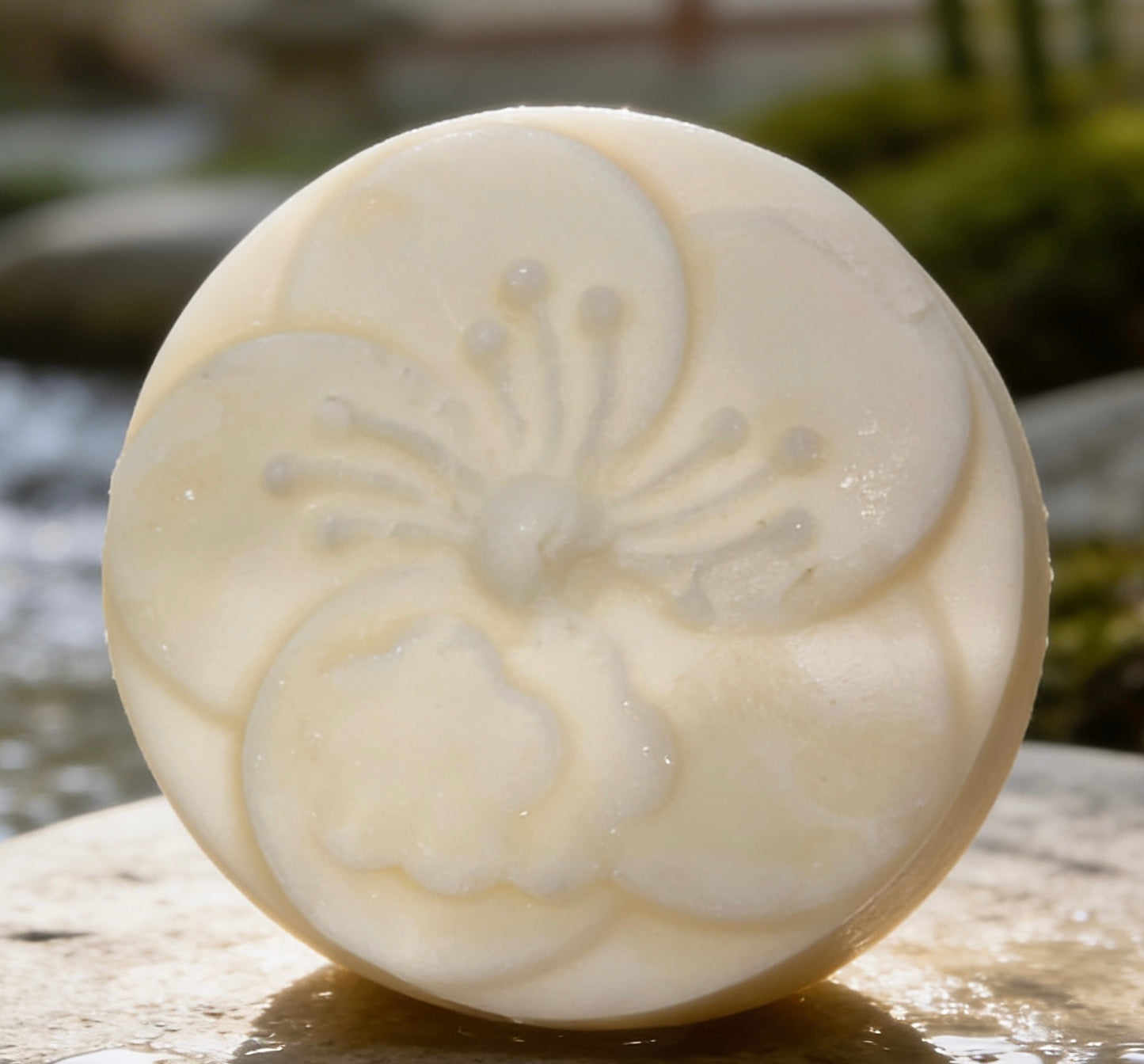 Shampoo Bars