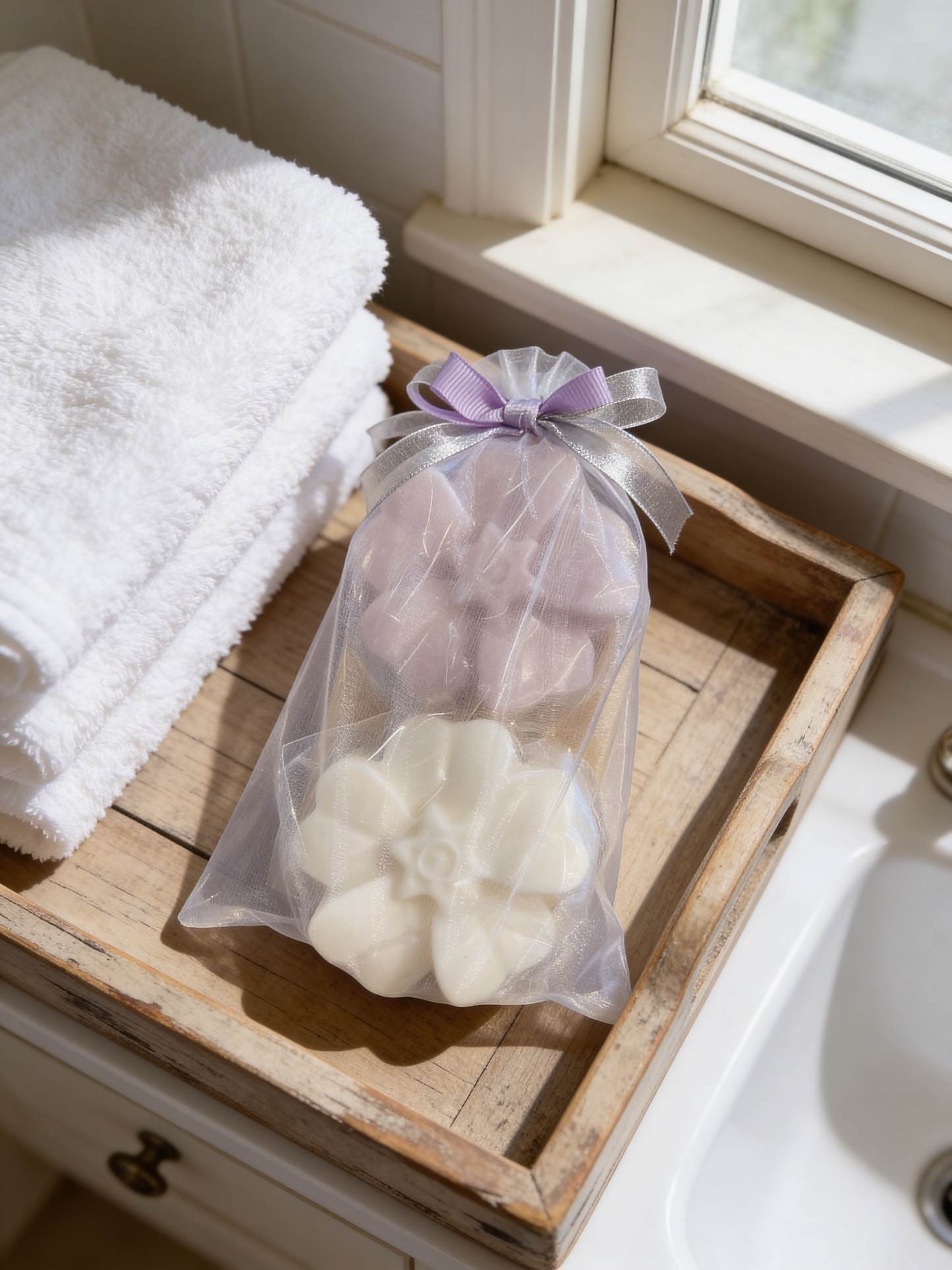 Shampoo & Conditioner Bar Set