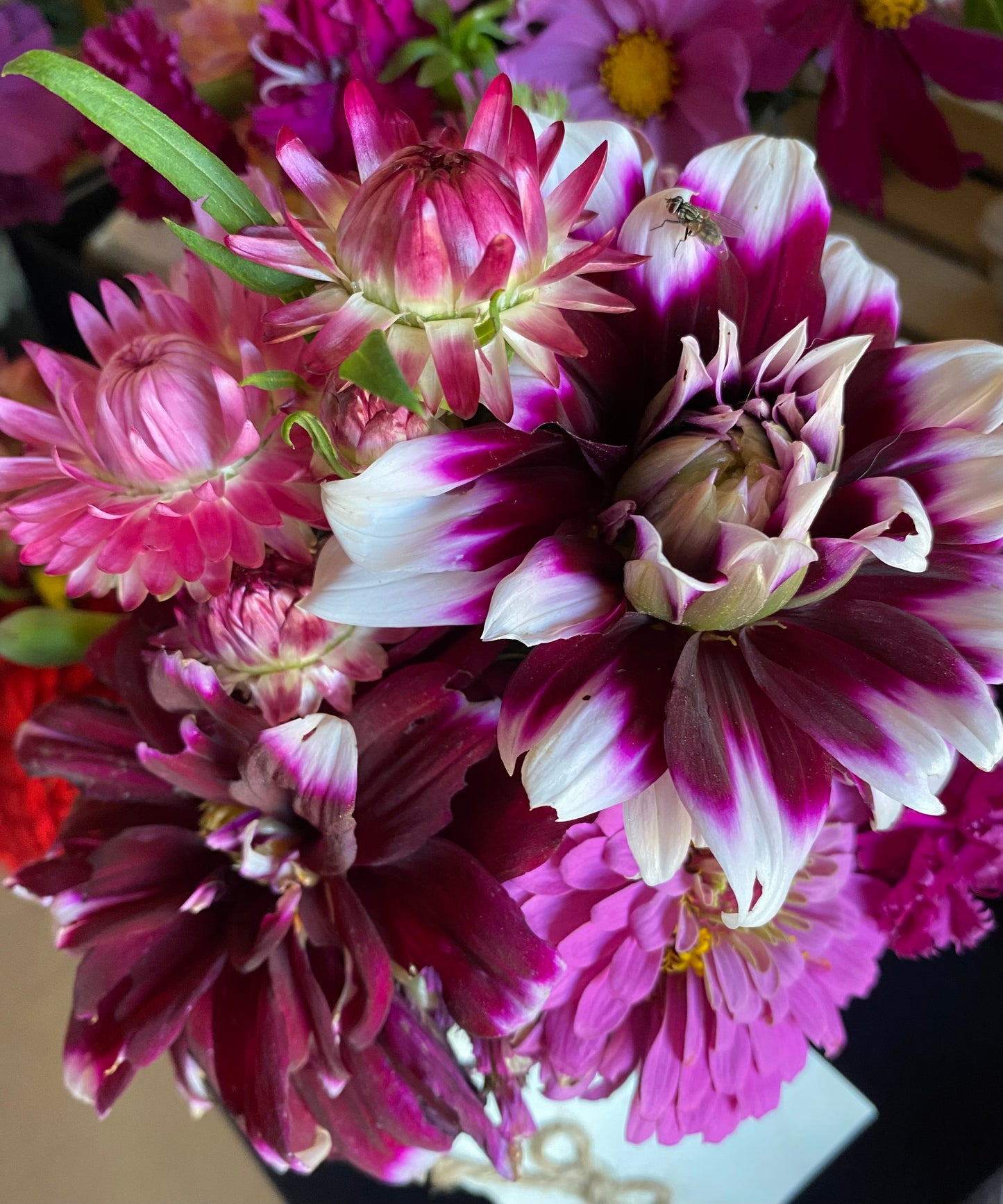 Fresh Cut Seasonal Flower Bouquets $25