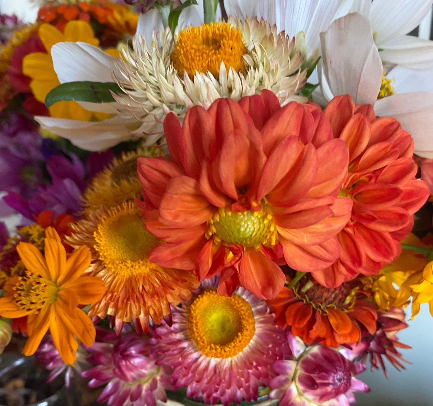 Fresh Cut Seasonal Flower Bouquets $25